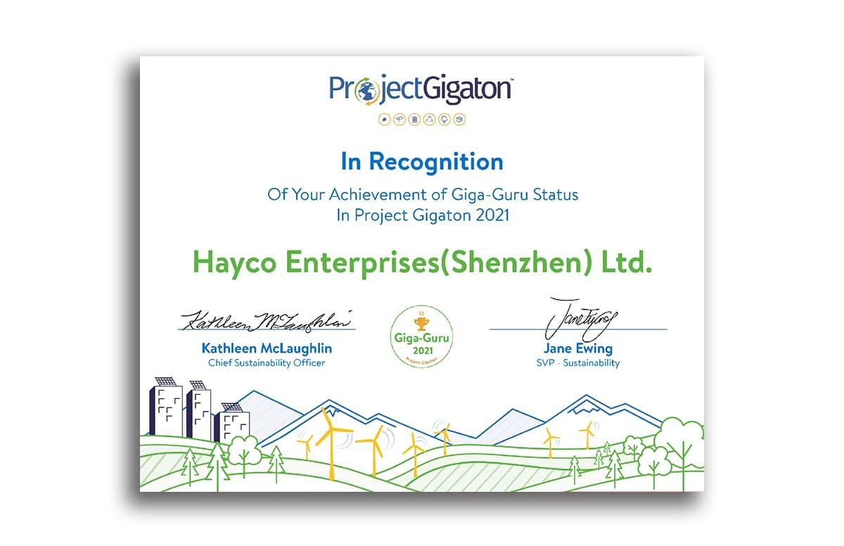Hayco has been recognized by Walmart as a “Giga-Guru” for our sustainability efforts for three (3) consecutive years